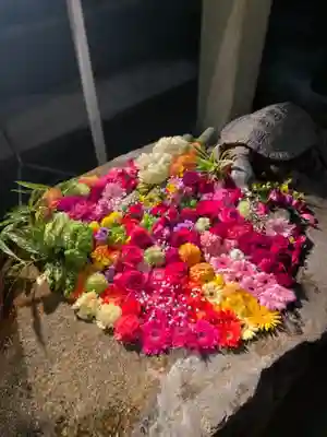 杉杜白髭神社の手水舎
