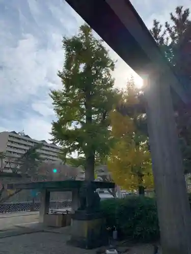 福井神社のその他建物