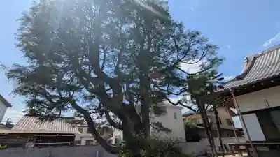 永昌寺(岐阜県)