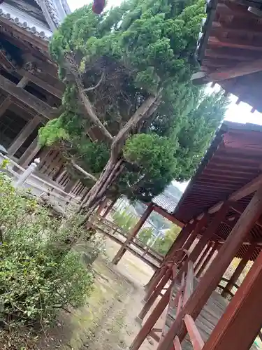 普賢寺の建物その他