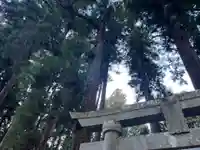 大宮温泉神社(栃木県)