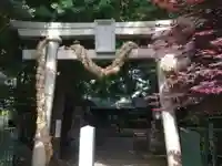 奥澤神社の鳥居