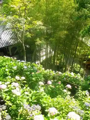 長谷寺のその他建物