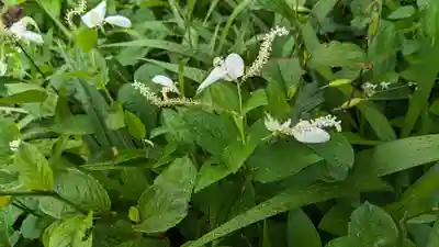 権現寺(京都府)