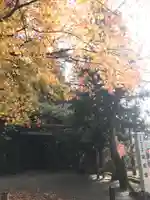 瀧原宮(皇大神宮別宮)の自然