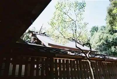 猿田彦神社の本殿・本堂