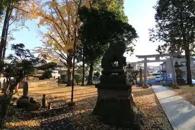 熊野福藏神社の鳥居