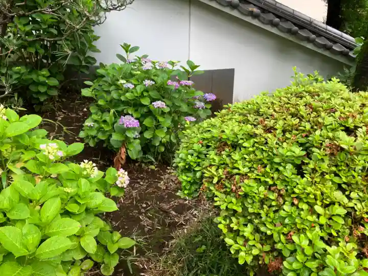法雲寺(東京都)