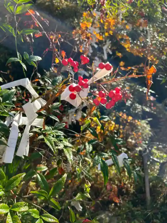 山科聖天 雙林院(双林院) (京都府)