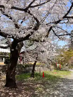 寒河江八幡宮の自然