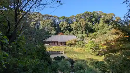 浄瑠璃寺(京都府)