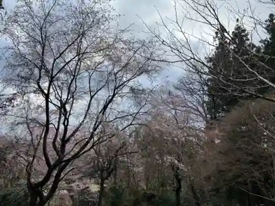 大宮温泉神社(栃木県)