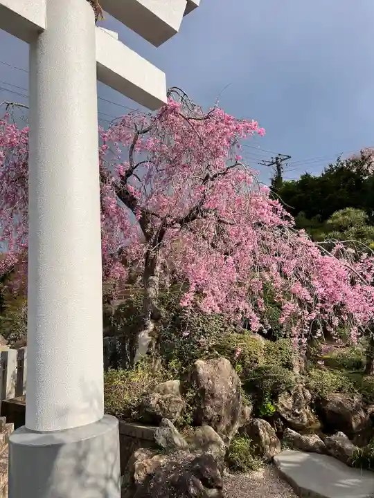 金蛇水神社(宮城県)