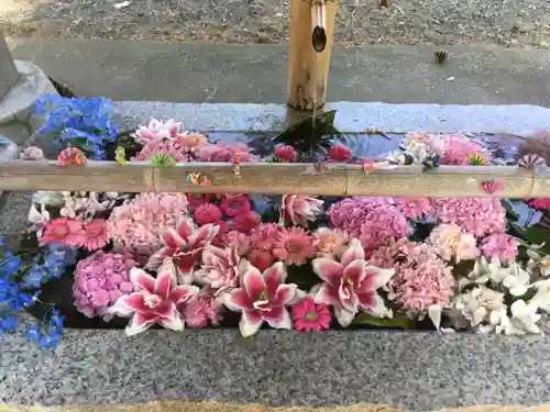 札幌伏見稲荷神社(北海道)