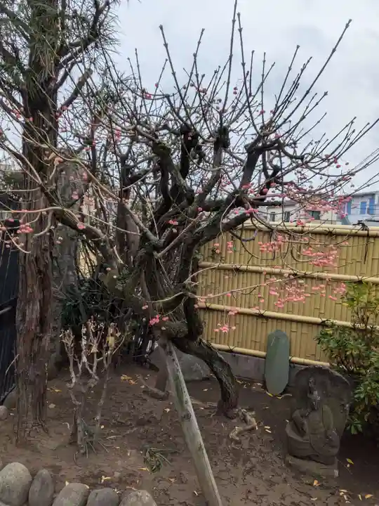 是照院(東京都)