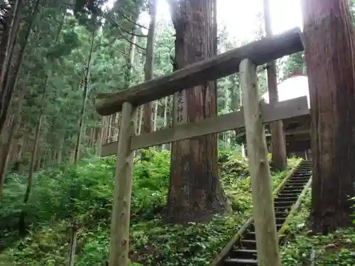 老犬神社の鳥居