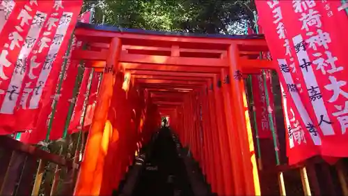 日枝神社の鳥居