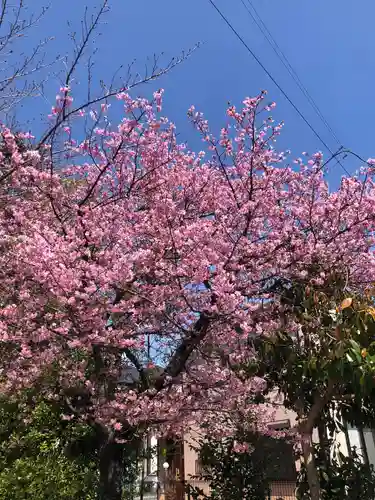 櫻木神社の自然