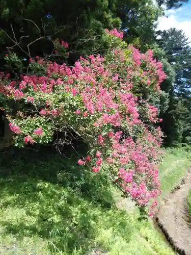 鹿島大神宮の庭園