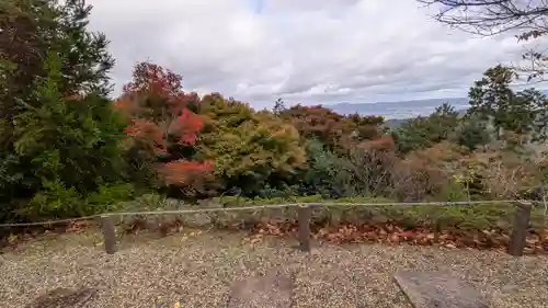 三鈷寺(京都府)