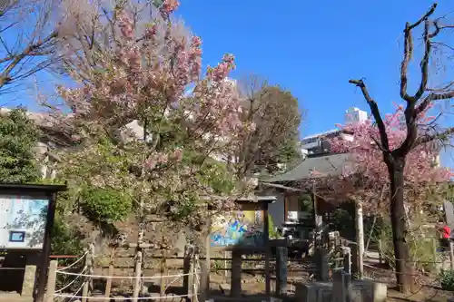 鳩森八幡神社(東京都)