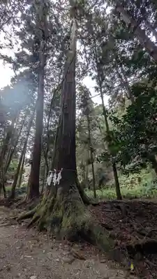 日吉大社(滋賀県)