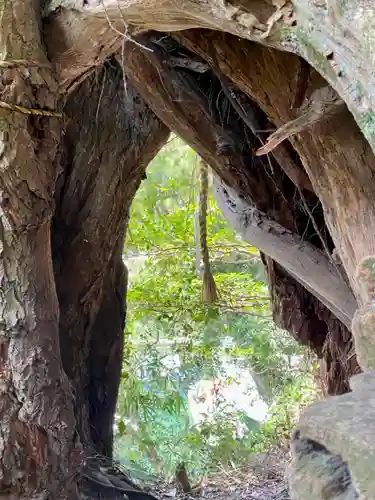 竹生島神社（都久夫須麻神社）の庭園