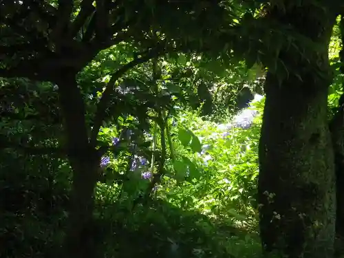 長勝寺の景色