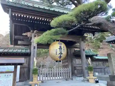 長谷寺の山門・神門