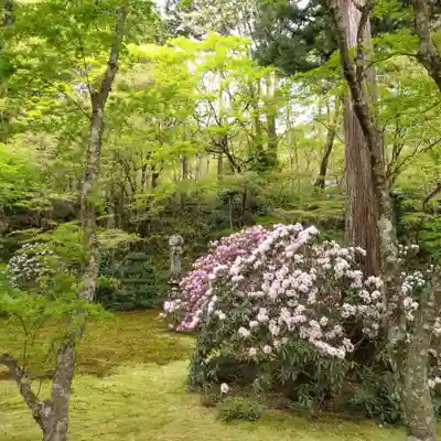 三千院門跡(京都府)