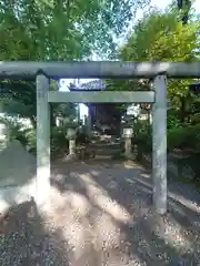 狭山八幡神社(埼玉県)