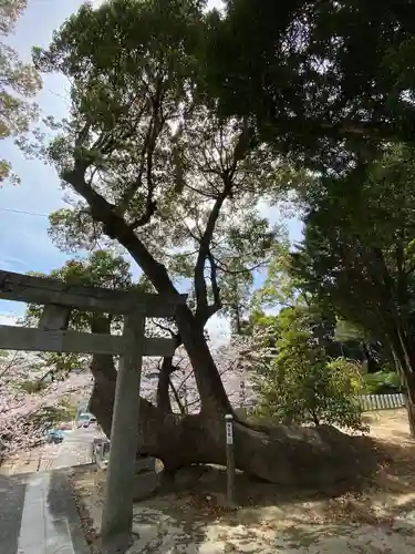 阿蘇神社の自然
