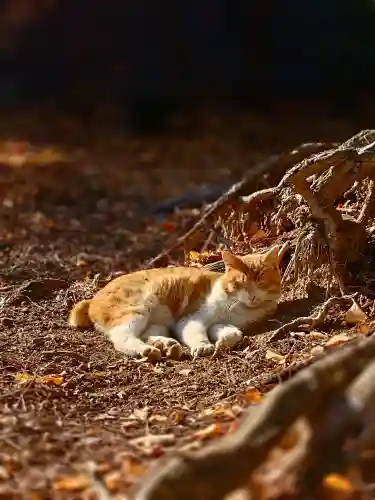 淡洲神社（太郎丸）の{uncategorized: "未分類", other: "その他", undefined: "問題あり", building: "その他建物", grave: "お墓", sacred_gate: "鳥居", guardian: "狛犬", statue: "像", buddha: "仏像", history: "歴史", nature: "自然", garden: "庭園", animal: "動物", pagoda: "塔", temizu: "手水舎", mountain_gate: "山門・神門", sanctuary: "本殿・本堂", subordinate: "末社・摂社", art: "芸術", scenery: "景色", jizo: "地蔵", ema: "絵馬", goshuin: "御朱印", omikuji: "おみくじ", items: "授与品その他", amulet: "お守り", goshuincho: "御朱印帳", eats: "食事", festival: "お祭り", votive_dance: "神楽", shichigosan: "七五三参", wedding: "結婚式", experience: "体験その他", initially: "初詣", around: "周辺", anti_infection: "感染症対策"}