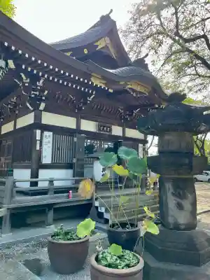 大円寺(東京都)
