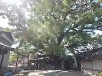 三島神社のその他建物