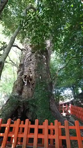 新田神社の建物その他