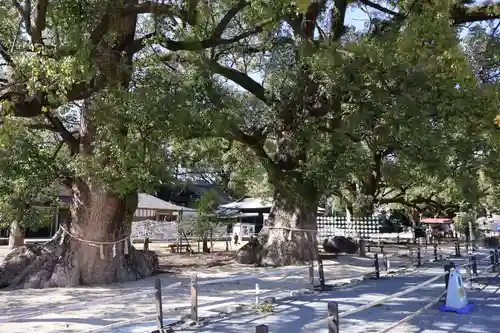 諫早神社（九州総守護  四面宮）(長崎県)