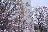 小村井 香取神社(東京都)