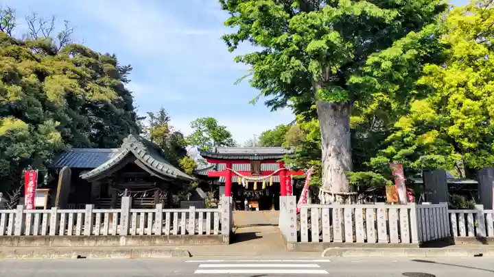 熊野大神社(埼玉県)