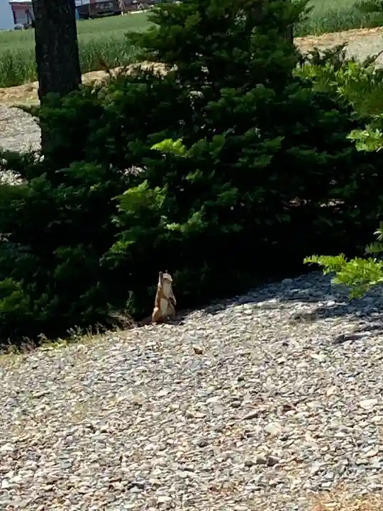 川西神社の動物
