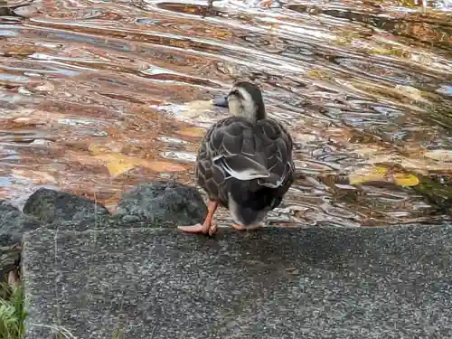 鳥海月山両所宮(山形県)