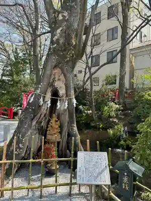 秩父今宮神社(埼玉県)