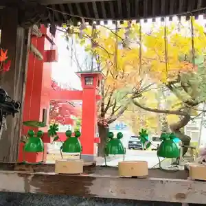 彌彦神社 (伊夜日子神社)の手水舎(2023年11月13日(月) 09時51分18秒投稿)