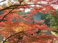 神護寺(京都府)