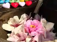 真言宗 善通寺派 薬王寺(香川県)