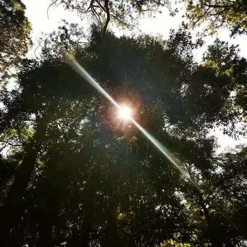 鹿島神宮の自然