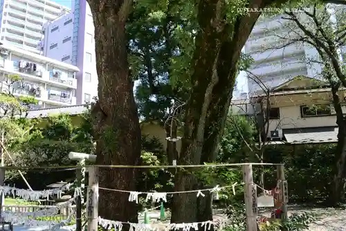 蒲田八幡神社(東京都)