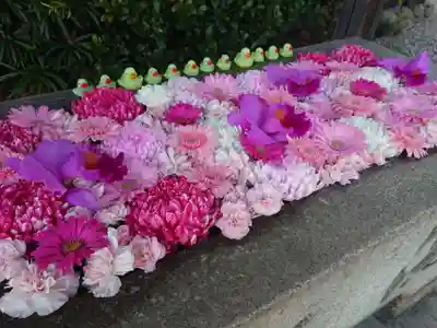 清浄院の手水舎