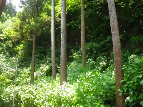御霊神社の自然