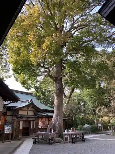 荏柄天神社の自然